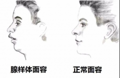 ɺʴҪʲô飿жǷҪ